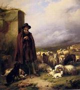 unknow artist Sheep 176 oil painting on canvas